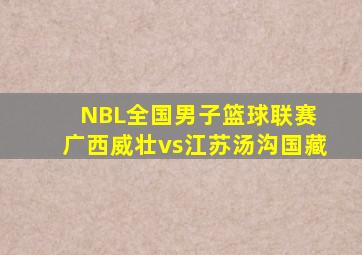 NBL全国男子篮球联赛 广西威壮vs江苏汤沟国藏